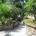 preview image11 giardino