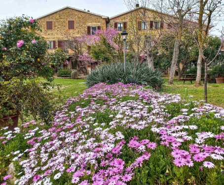 Casa-rural La Valentina Del Biozzi - Orbetello