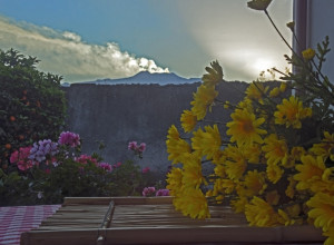 image6  Gli Agrumeti Sul Mare