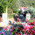 preview image20 esterno