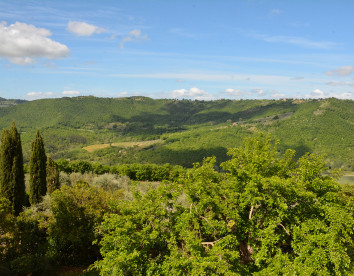 Il Poggiolo di Parrano