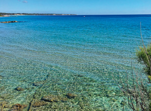 image4 Tenuta Vigna Corallo