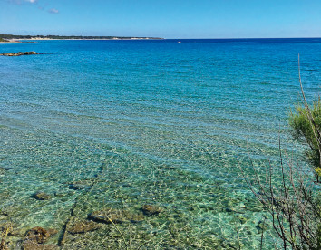 tenuta vigna corallo