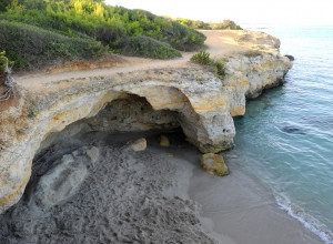 image16 Tenuta Vigna Corallo