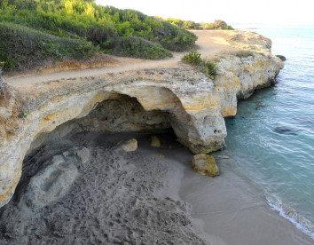 tenuta vigna corallo