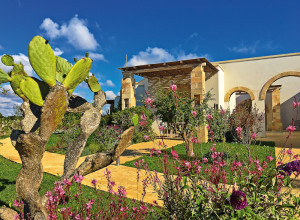 image9 Tenuta Vigna Corallo