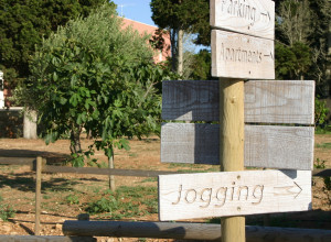 image10 Tenuta Vigna Corallo