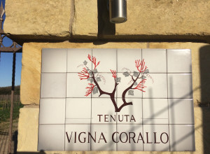 image11 Tenuta Vigna Corallo