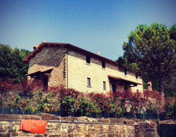  casa luchetti