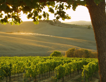 il Paradiso di Frassina