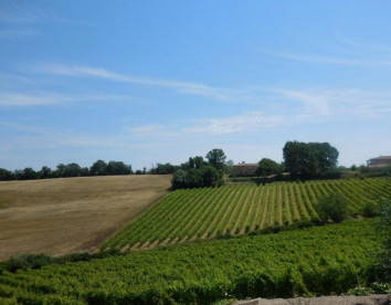 il Paradiso di Frassina