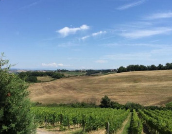 il Paradiso di Frassina