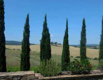 il Paradiso di Frassina