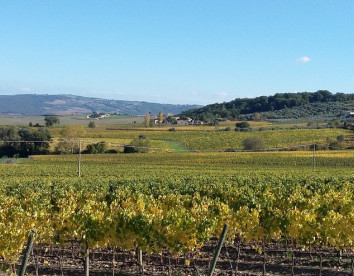 il Paradiso di Frassina