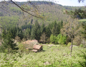 Casale Camalda Bioagriturismo