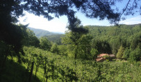 Casale Camalda Bioagriturismo