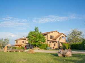 image26 Azienda Agricola Il Torrino Di Bibbiani Mauro