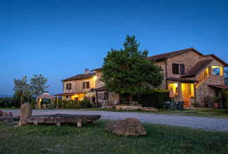 image6 Azienda Agricola Il Torrino Di Bibbiani Mauro