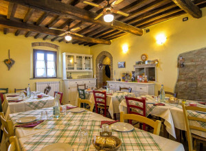 image18 Azienda Agricola Il Torrino Di Bibbiani Mauro