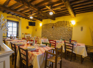 image1 Azienda Agricola Il Torrino Di Bibbiani Mauro
