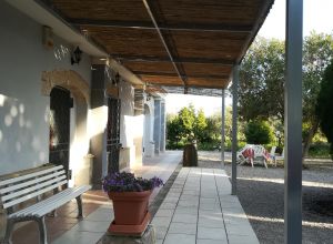 image15 Caracci