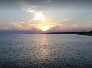 image5 Caracci