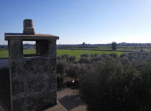 image13 Caracci