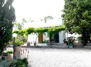 image29 Caracci