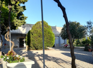 image6 Caracci