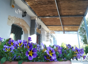 image5 Caracci