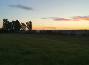 image16 Caracci