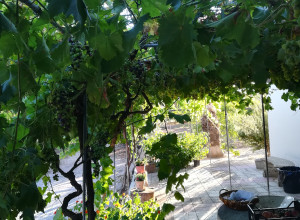 image20 Caracci