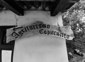 image28 Capocanto