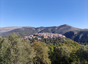 image20 Capocanto
