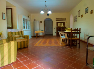 image11 Capocanto