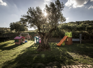 image8 Il Giriatello