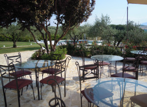 image12 Piccolo Albero