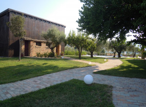 image17 Piccolo Albero