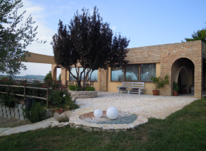 image2 Piccolo Albero