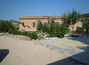 image3 Piccolo Albero