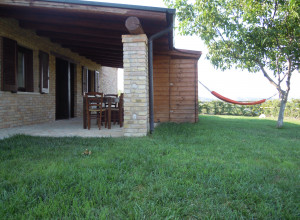 image9 Piccolo Albero