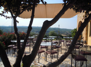 image0 Piccolo Albero
