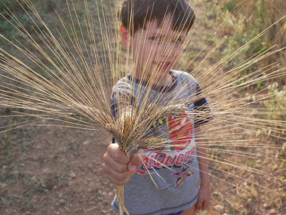 Masseria Galatea foto esterno 29
