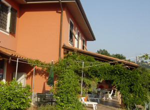 image6 Mamosa