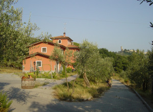 image15 Mamosa