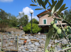image21 Il Giardino Del Sole