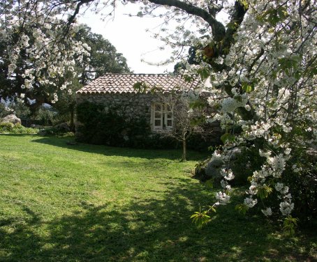 Farm-house Li Pireddi - Aglientu