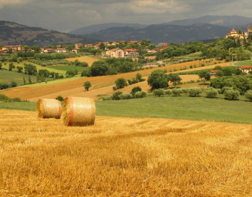 La Ginestrella