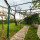 preview image7 giardino