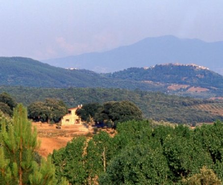 Ferienbauernhof Poggio Macinaio - Roccastrada